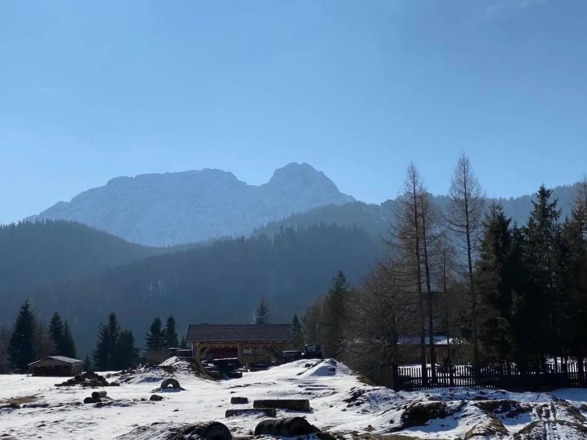 Apartament Mysliwski Zakopane