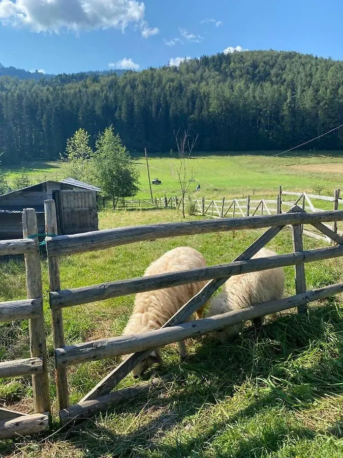 Apartament Mysliwski Zakopane